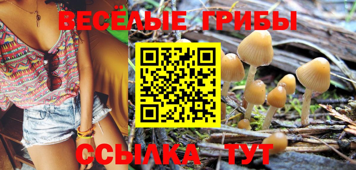 Галлюциногенные грибы прущие грибы  Галлюциногенные грибы MAGIC MUSHROOMS  Камышин  Вход с VPN 