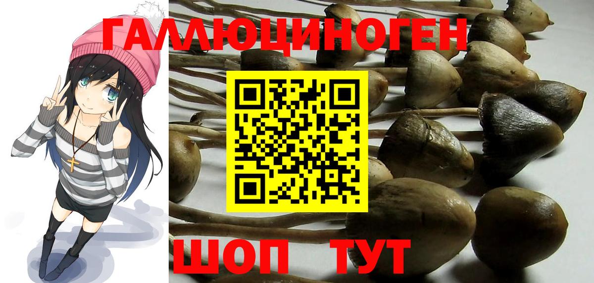 Галлюциногенные грибы GOLDEN TEACHER Камышин